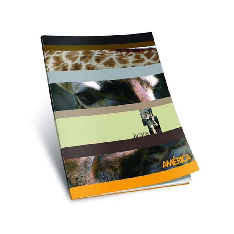 CUADERNO-AMERICA-TAPA-FLEXIBLE-24-HOJAS-RAYADO--CUADAMERT-F-RAYX24H-1-2590