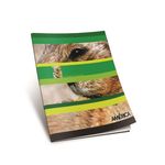 CUADERNO-AMERICA-TAPA-FLEXIBLE-48-HOJAS-RAYADO-CUADAMERICA-RAYADO-T-F-X48H-2-105