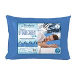 ALMOHADA-FRESH-ICE-50X70-1-411