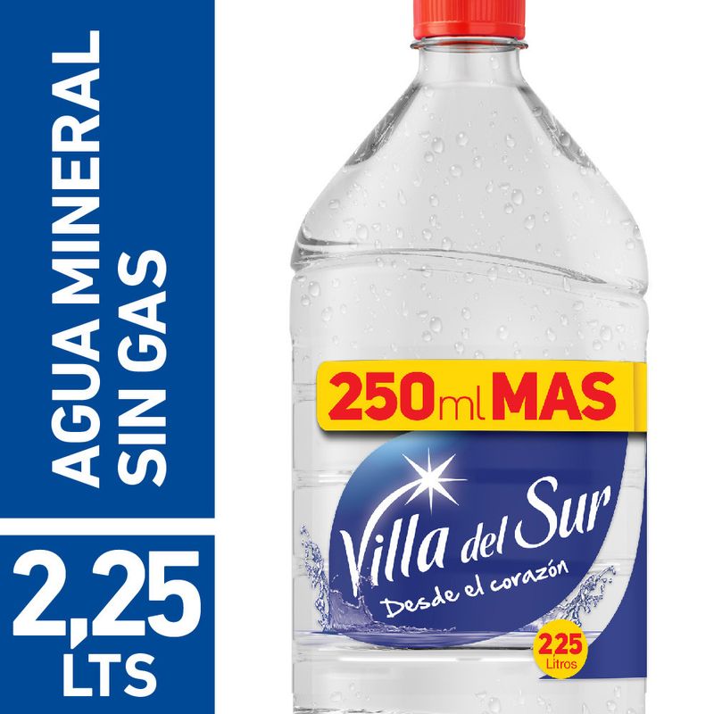 Agua Botella 1,25 L