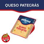 QUESO-PATEGRAS-MILKAUT-X-250-G-1-10003