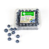 AR�NDANOS ORG�NICOS TAEQ X 125 G.