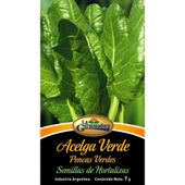 SOBRES ACELGA VERDE PENCAS VERDES