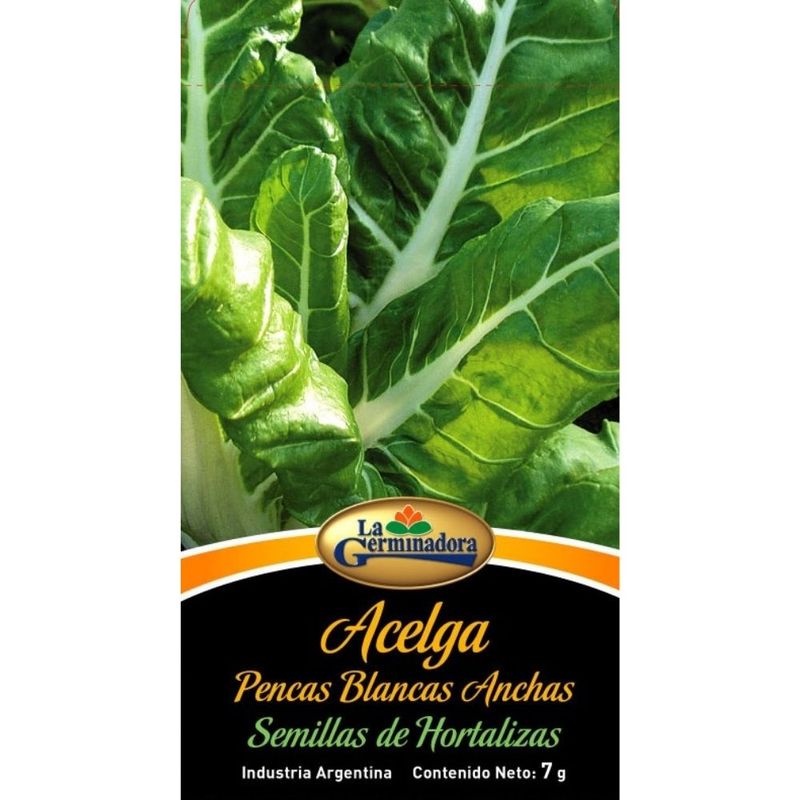 SOBRES-ACELGA-BLANCA-PENCAS-B-1-12403
