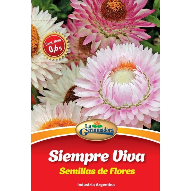 SOBRE-EXTRA-DE-SIEMPRE-VIVA-1-12401