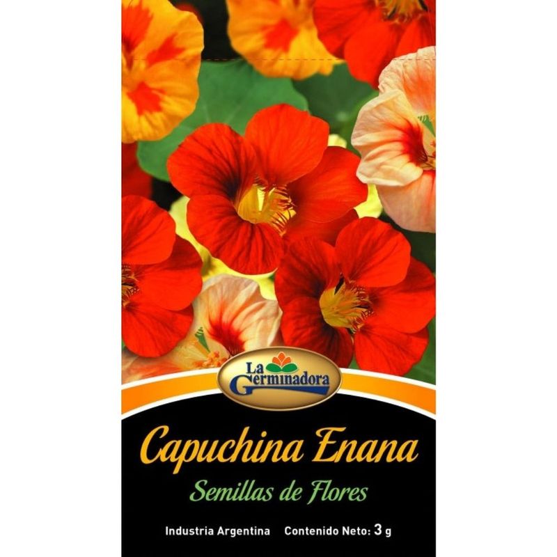 SOBRE-CAPUCHINA-1-13630