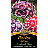 SEMILLAS DE CLAVELINA DEL POETA.