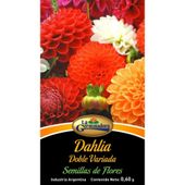 SEMILLAS DE DAHLIA DOBLE VARIADO.
