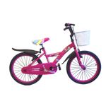 Bicicleta-Paseo-Rodado-20-BICI-R20-PASEO-DAMA-C-ACCESORI-1-13485