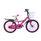 Bicicleta Paseo Rodado 20
