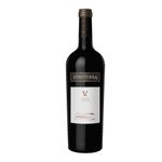 Vino-Tinto-Viniterra-Cabernet-Saugignon-750-mL-1-13879