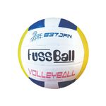 PELOTA-DE-VOLLEY-1-11405