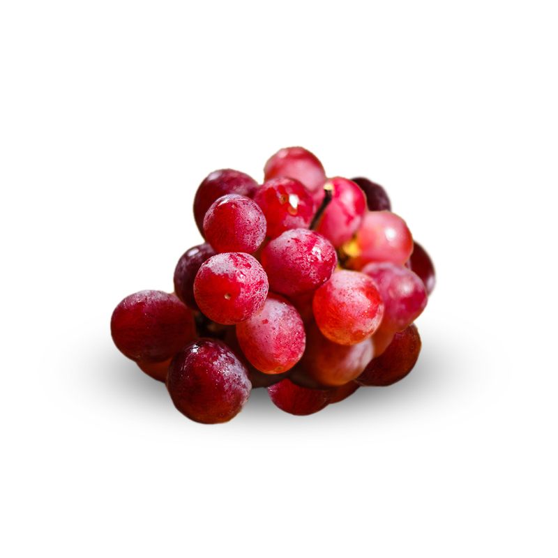 UVA-RED-GLOBE-X-500-G-1-17355