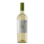 VINO-CHAC-CHAC-LP-SAUV-BLA-750-1-19276