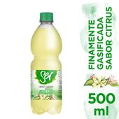 AGUA SABORIZADA SER CITRUS C/G X 500ML