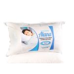 ALMOHADA-ALANA-NUCLEO-70cm-X-45cm-1-20366