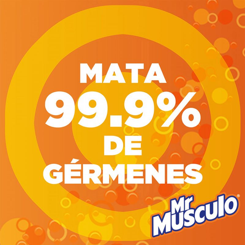 Limpiador-Mr-M-sculo-Cremoso-Multisuperfice-Floral-450-mL-4-13456