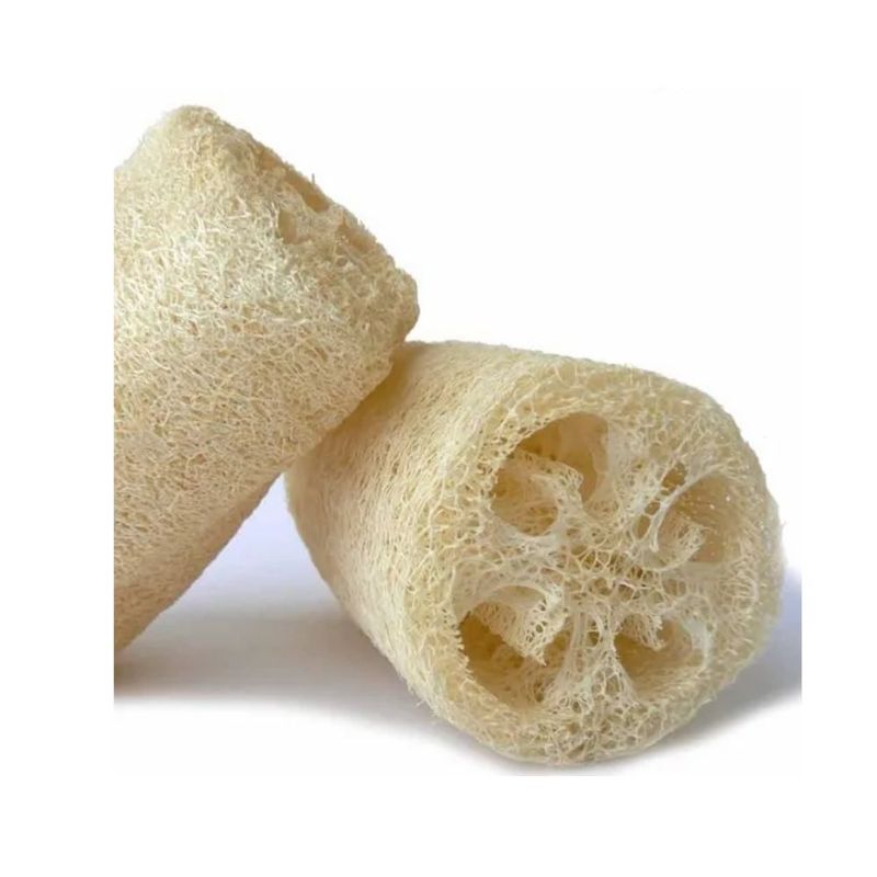 ESPONJA-VEGETAL-PROFACOR-X-1U-1-21390