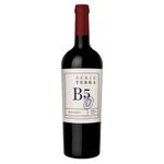 VINO-TERRA-MALBEC-X-750-Ml-1-14032