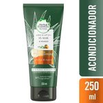 ACONDICIONADOR-HERBAL-ESSENCES-BIO-RENEW-ALOE-MANGO-X-250-Ml-1-24390