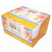 CERA DEPILATORIA ESTILO SPA NATURAL POTE X 200 Gr