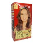 KIT-COLORACION-SILKEY-KEY-KOLOR-MASTER-COLLECTION-N-6-31-RUBIO-OSCURO-CENIZA-1-23779