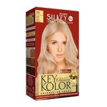 KIT-COLORACION-SILKEY-KEY-KOLOR-MASTER-COLLECTION-N-11-RUBIO-ULTRA-CLARO-NATURAL-1-23780