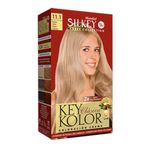 KIT-COLORACION-SILKEY-KEY-KOLOR-MASTER-COLLECTION-N-11-1-RUBIO-ULTRA-CLARO-CENIZA-1-23881