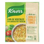 SOPA-KNORR-VEGETALES-CON-CARACOLITOS-TRICOLOR-X-107-5-Gr-1-29312