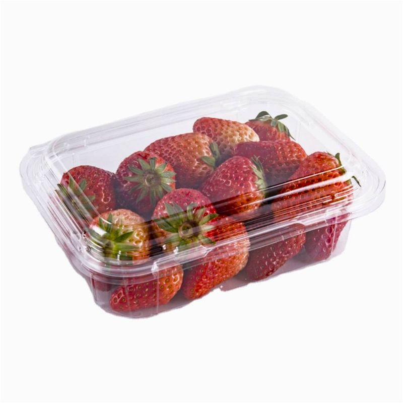 FRUTILLAS-EN-BANDEJA-1-16906