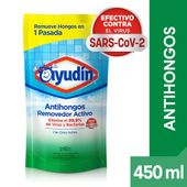 LIMP.AYUDIN.ANTIHONGOS.DP450M