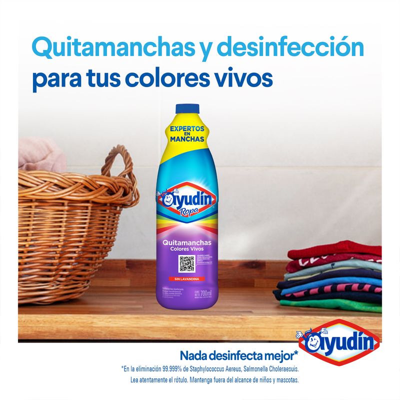 QUITAMANCAS-AYUD-N-COLOR-DP-400ML-3-12684