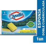 Ayudin-Esponja-Cuadriculada-Doble-1-Und-1-12235