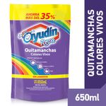 QUITAMANCHAS-AYUD-N-COLOR-DP-650ML-1-9374