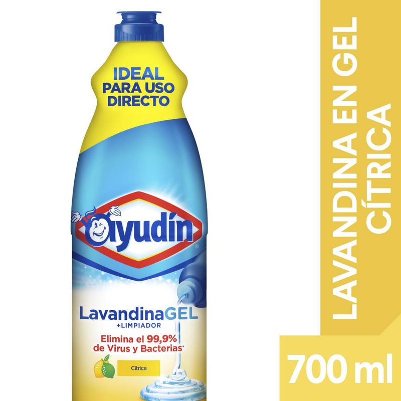 LAVANDINA-EN-GEL-AYUDIN-PUREZA-CITRICA-X-700-Ml-1-24620