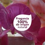 M-scara-de-Tratamiento-DOVE-REAL-Poder-de-las-Plantas-NUTRICI-N-GERANIO-190-ml-5-34747
