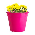 MACETA-MODELO-CLASICA-N-16-COLOR-FUCSIA-1-10988