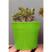 MACETA CLAS N�12 VERDE MANZANA