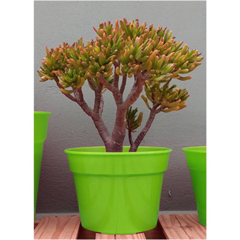 MACETA-CLAS-N-16-VERDE-MANZANA-1-35692