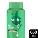 ACONDICIONADOR-SEDAL-RIZOS-DEFINIDOS-X-650-Ml-1-38594