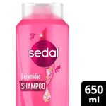 SHAMPOO-SEDAL-CERAMIDAS-X-650-Ml-1-38567