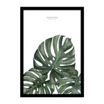 CUADRO-NATURE-30X40-CM-2-43034
