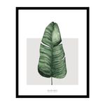 CUADRO-NATURE-40X50-CM-2-43035