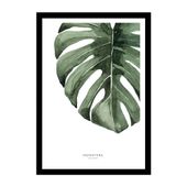 CUADRO NATURE 30*40
