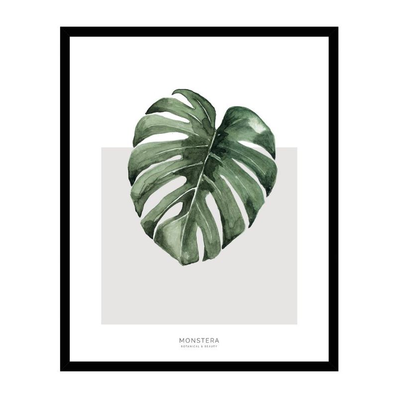 CUADRO-NATURE-40X50-CM-1-43035
