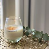 VELA GLASS