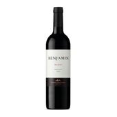 BENJAM�N MALBEC NP 750ML
