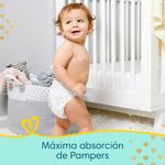 Pa-ales-Pampers-Premium-Care-Plus-Hipoalerg-nico-Piel-Delicada-Talle-P-36-Unidades-4-38712