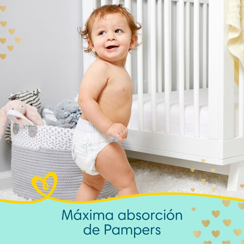 Pa-ales-Pampers-Premium-Care-Plus-Hipoalerg-nico-Piel-Delicada-Talle-P-36-Unidades-4-38712