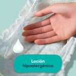 Pampers-Baby-Dry-Hipoalerg-nico-Pa-ales-Desechables-Talle-XG-36-Unidades-6-40551